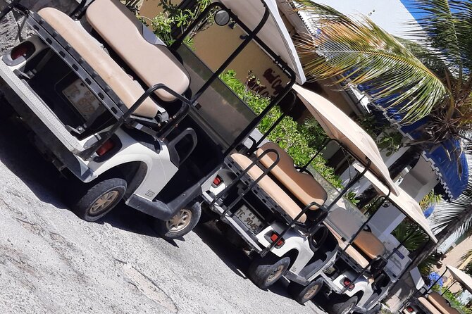 Watkins UTV American Golf Cart Rentals - Who will enjoy this rental most
